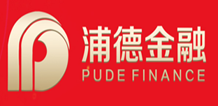 上海浦德金融信息服务有限公司.png