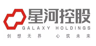 星河控股集团有限公司.png