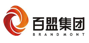 百盟集团.png